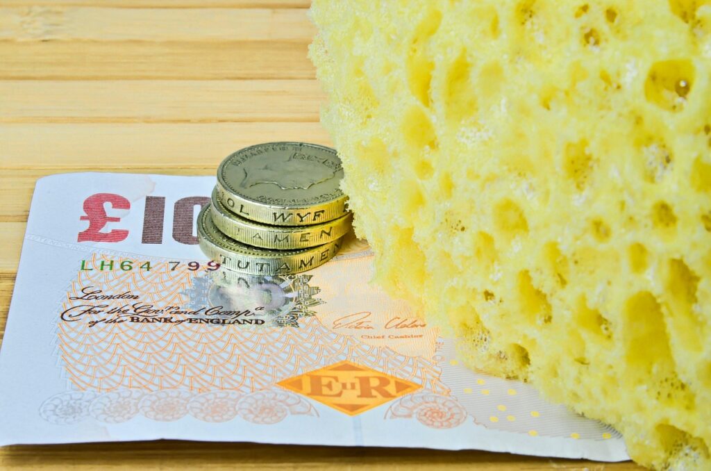 washing sponge, sponges, cleaning, washing, bathroom, coin, money making, bank note, washing cost